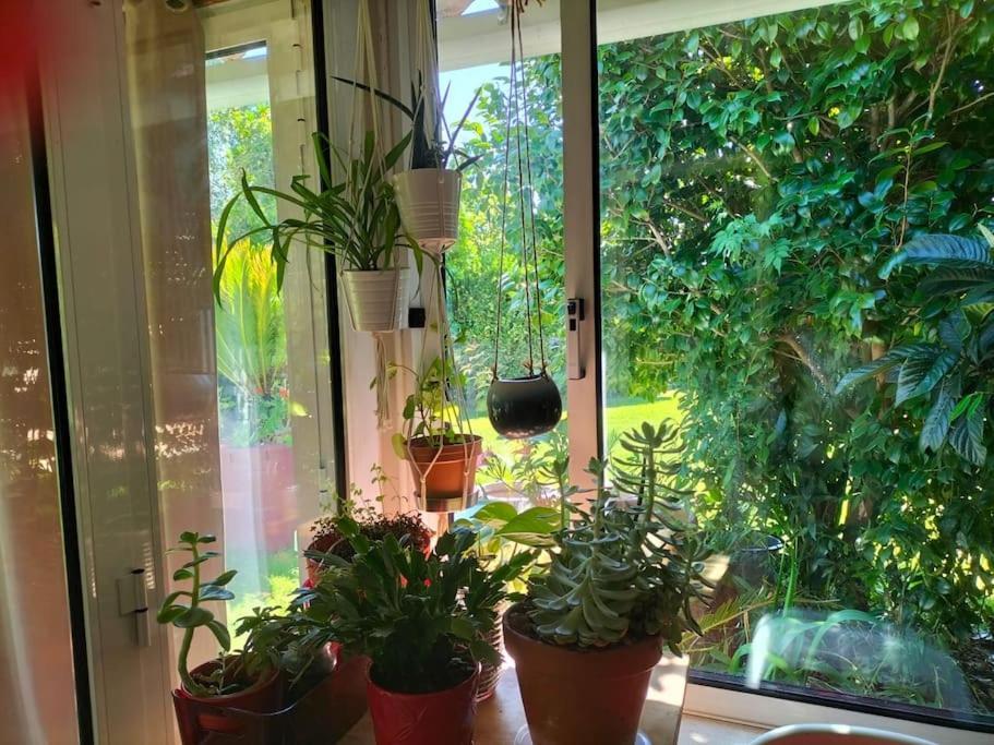 Vakantiehuis Casa Triana Soure